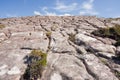 Glacial grooves in rock Royalty Free Stock Photo