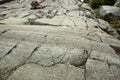 Glacial grooves and striations at the summit of Mt. Kearsarge Royalty Free Stock Photo