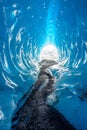 Glacial ice details as seen from inside a cave