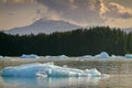 Glacial Ice from the LeConte Glacier Royalty Free Stock Photo