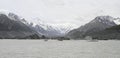 Glacial icebergs on Tasman Melt Lake