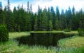 Glacial lagoon inside a coniferous forest