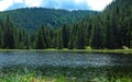 Glacial lake in the forest