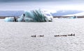 A glacial lake, ice and geese