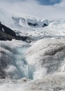 Glacial Melt Stream with Columbia Icefield in the Background Royalty Free Stock Photo