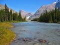 Mount Robson Provincial Park, Canadian Rocky Mountains, Glacial Robson River running through Meadows and Forest, British Columbia Royalty Free Stock Photo