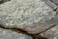 Glacial striations in gneiss at summit of Mt. Kearsarge Royalty Free Stock Photo