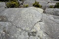 Glacial striations in gneiss at summit of Mt. Kearsarge Royalty Free Stock Photo