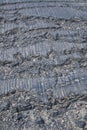 The glacial striations on the rock.   Columbia Icefield Area and the Athabasca Glacier AB Canada Royalty Free Stock Photo