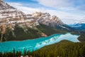 Peyto lake in Banff national park Alberta Canada