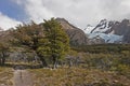 Glaciar Piedras Blancas, Patagonia, Argentina Royalty Free Stock Photo