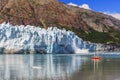 Glacier Bay, Alaska. Royalty Free Stock Photo