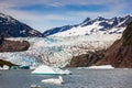 Glacier Bay, Alaska Royalty Free Stock Photo