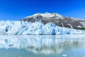 Glacier Bay, Alaska Royalty Free Stock Photo