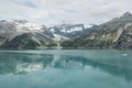 Glacier Bay, Alaska Royalty Free Stock Photo