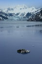 Glacier Bay National Park Alaska Inside Passage Royalty Free Stock Photo