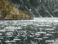 Glacier Bay National Park, Alaska Royalty Free Stock Photo