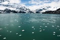 Glacier Bay National Park Royalty Free Stock Photo