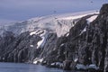 Glacier, bird cliffs and murres Royalty Free Stock Photo