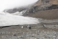 Glacier at Brown Bluff Island Antarctica