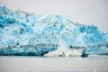 Glacier Calving - Natural Phenomenon