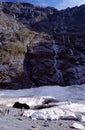 Glacier in Fiordland National Park. Royalty Free Stock Photo