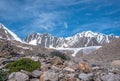 Glacier flowers mountains snow summer Royalty Free Stock Photo