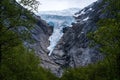 Glacier front of Briksdal surrounded by green trees