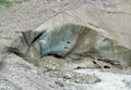 Glacier huge crevasse in Svanetia Caucasian mountains in Georgia Royalty Free Stock Photo