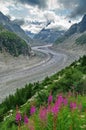 Glacier Mer de Glace (Sea of Ice) - glacier, landmark attraction in the Alps mountains Royalty Free Stock Photo