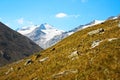 Glacier mountain peak alps Royalty Free Stock Photo