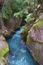 GLACIER NATIONAL PARK AQUA FLOWING WATER BETWEEN T