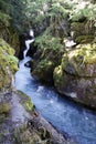 Glacier National Park, Avalanche Gorge, Montana, United States Royalty Free Stock Photo