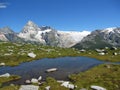 Glacier National Park, Illecillewaet Glacier and Mountain Tarn at Abbott Ridge, British Columbia, Canada