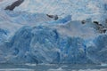 Glacier patagonia