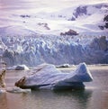 glacier,perito moreno,national park,los glaciares,patagonia,argentina,santa cruz