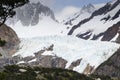 Glacier Piedras Blancas with peaks and trees