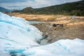 Glacier on the shore of the bay. Shevelev. Royalty Free Stock Photo