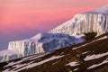 Glacier on the slope at sunrise at Kilimanjaro. Pink morning light Royalty Free Stock Photo