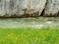 Mountain creek between rock wall and flowering meadow