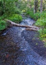 Glacier stream connecting two lakes Royalty Free Stock Photo