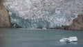 Glacier tongue of ice and iceberg floating on Prince Christian Sound