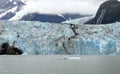 Glaciers in Kenai Fjords National Park