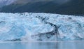 Glaciers in scenic College Fjord in Alaska, USA Royalty Free Stock Photo