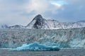 Glaciers of Svalbard / Spitsbergen