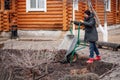 Glad woman in field clothes applying mulching procedure, pouring old dried leaves, bark. Pouring grass and muck soil