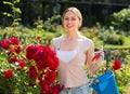 glad young woman working with bush roses with horticultural tools in garden