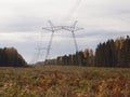 Glade in the autumn forest with the supports of power lines. Royalty Free Stock Photo