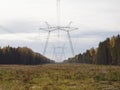 Glade in the autumn forest with the supports of power lines. Royalty Free Stock Photo