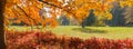 Glade in autumn park with oak branches in the foreground Royalty Free Stock Photo